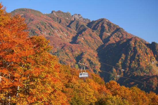 オススメ紅葉スポットと紅葉時期の予想 魚沼 十日町 In 新潟 公式 酒の宿 玉城屋 日本三大薬湯 新潟 松之山温泉