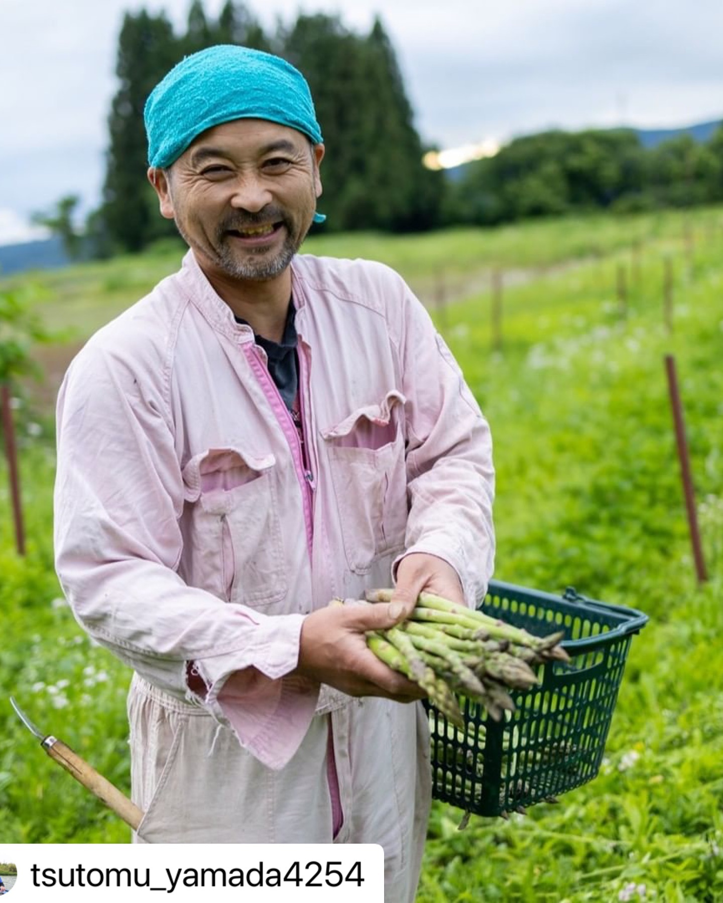 鈴木さんのアスパラガス | 【公式】酒の宿 玉城屋 / 日本三大薬湯 新潟 松之山温泉